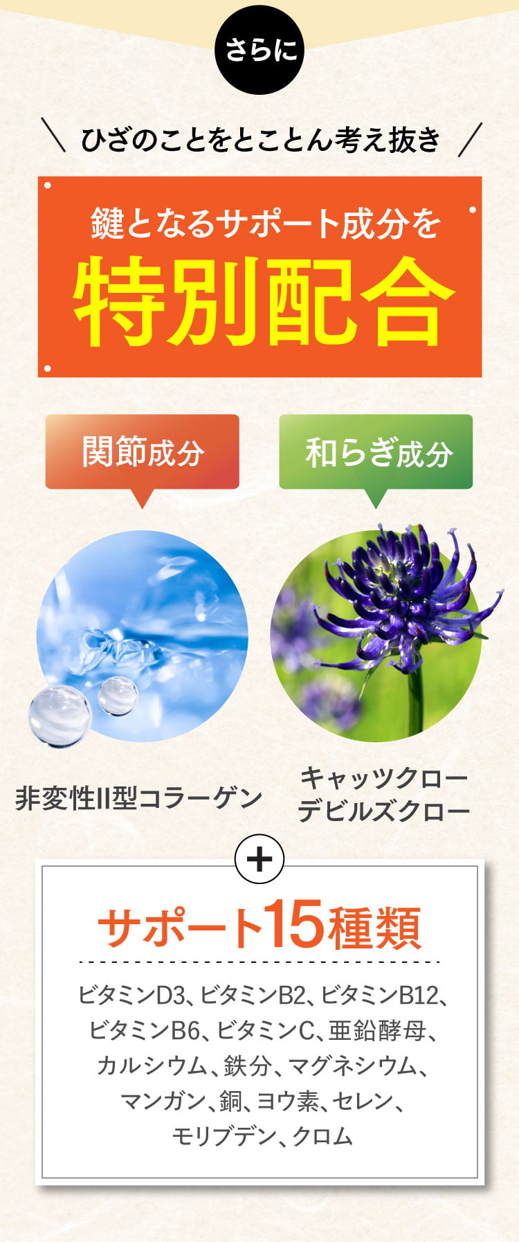 さらに、ひざに必要なサポート成分を特別配合
