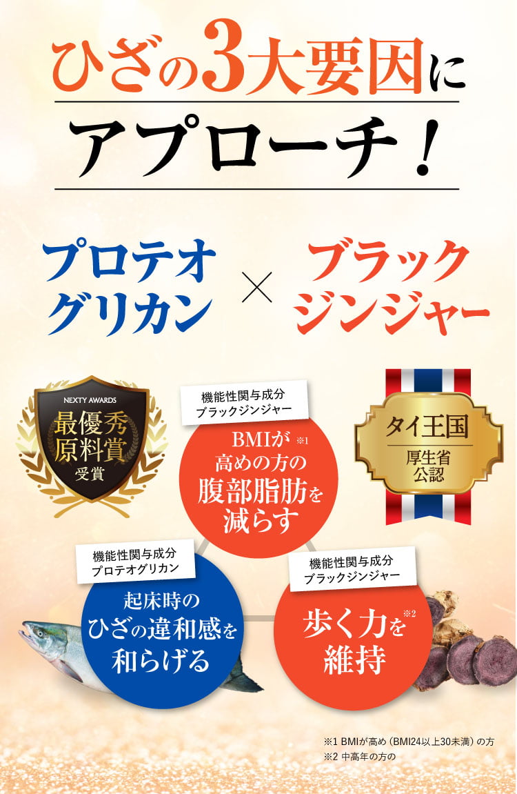 ひざの3大要因にアプローチ
